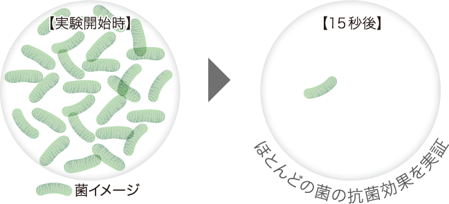 強力な除菌効果を実証！