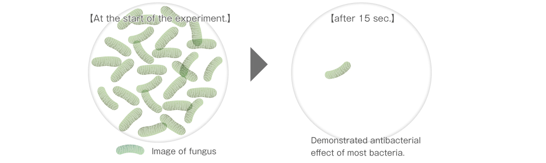 Demonstrate a strong sterilization effect.