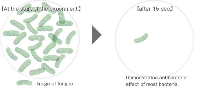 Demonstrate a strong sterilization effect.